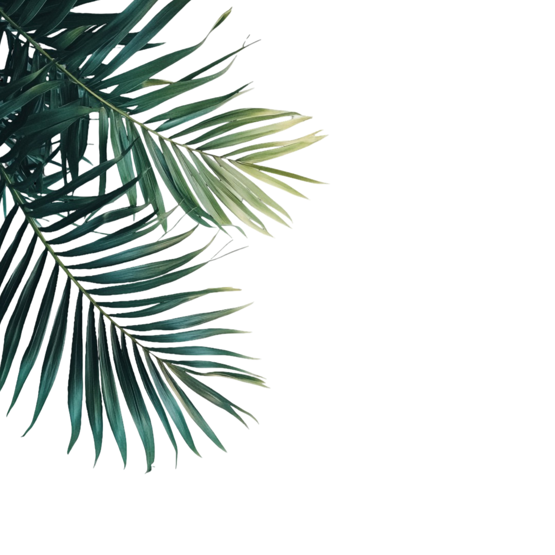 Decorative leaves